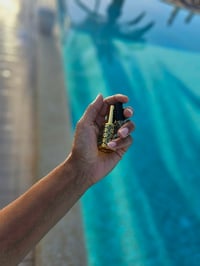 Image 2 of Revolution (Thawra/Anqalab) 