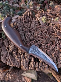 Image 1 of CURLY KATALOX GEN2 DRAUG