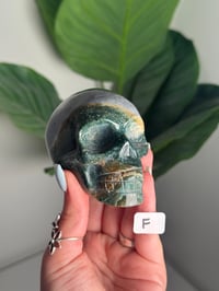 Image 6 of CHOOSE YOUR OWN SEA JASPER SKULL -MADAGASCAR-