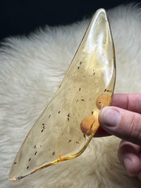 Image 21 of Copal Amber With Preserved Insects #2357