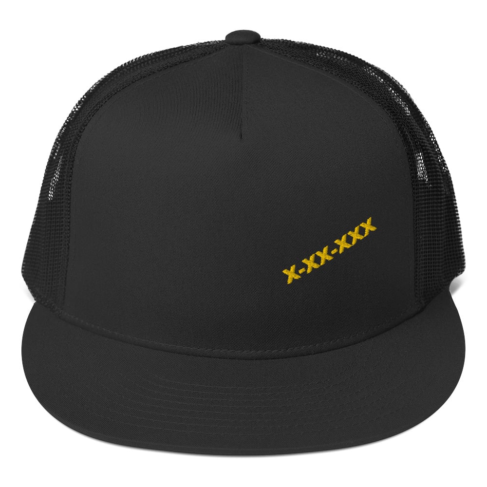 V PANEL TRUCKER HAT