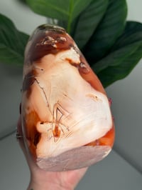 Image 2 of XXL MOSSY CARNELIAN FREEFORM -MADAGASCAR- 