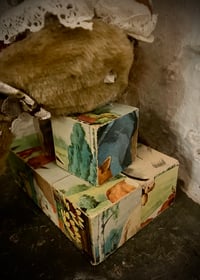 Image 4 of The Mushroom Picker