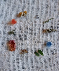 Image 1 of Spun in Soil