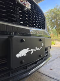 Image 2 of Guru Plate