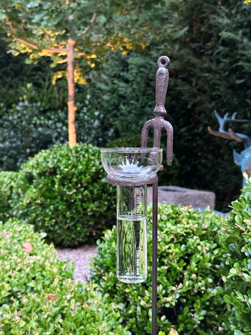 Image of Rain Gauge