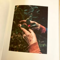 Image 3 of Robbie Lawrence - A Voice Above The Linn