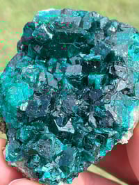 Image 9 of Dioptase Specimen #1695