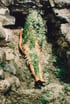 Portal for Ana Mendieta Image 4