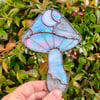 Iridescent Blue and Pink Catch a Falling Star