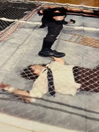 Image 3 of Hell in a Cell ‘98 - Tapestry