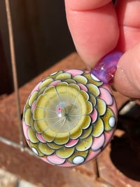 Image 3 of Celestial Strawberry