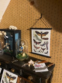 Image 3 of  Vintage death's-head hawkmoth chart 1:12 Dollshouse 