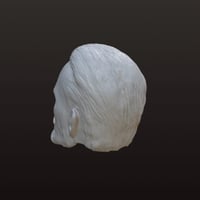 Image 5 of Punk unpainted