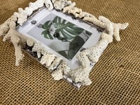 Image 5 of Coral Frame 5” x 7”