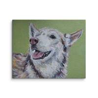 Image 3 of Happy Life Husky