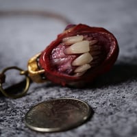 Image 1 of Egg of the King Dentata pendant, OOAK,