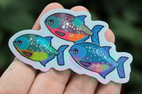 Image 4 of Piranha Holo 3” Sticker