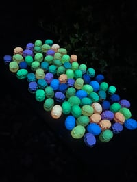 Image 5 of glow in the dark Scarab beetle.