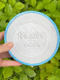 Image 2 of Tucker Bowl Yellow Rim