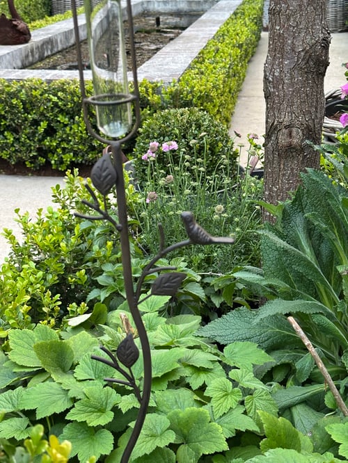Image of Rain Gauge, Bird on Vine  