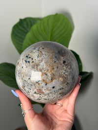 Image 1 of XL RAINBOW ORBICULAR JASPER SPHERE