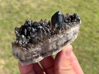 Image 12 of Smoky Quartz Crystal Points Cluster | Brazil #2971