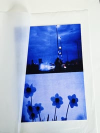 Image 3 of NIGHT DRIVE DAFFODILS II