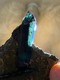 Image 16 of Vivianite & Ludlamite on Matrix Specimen |Brazil #2860