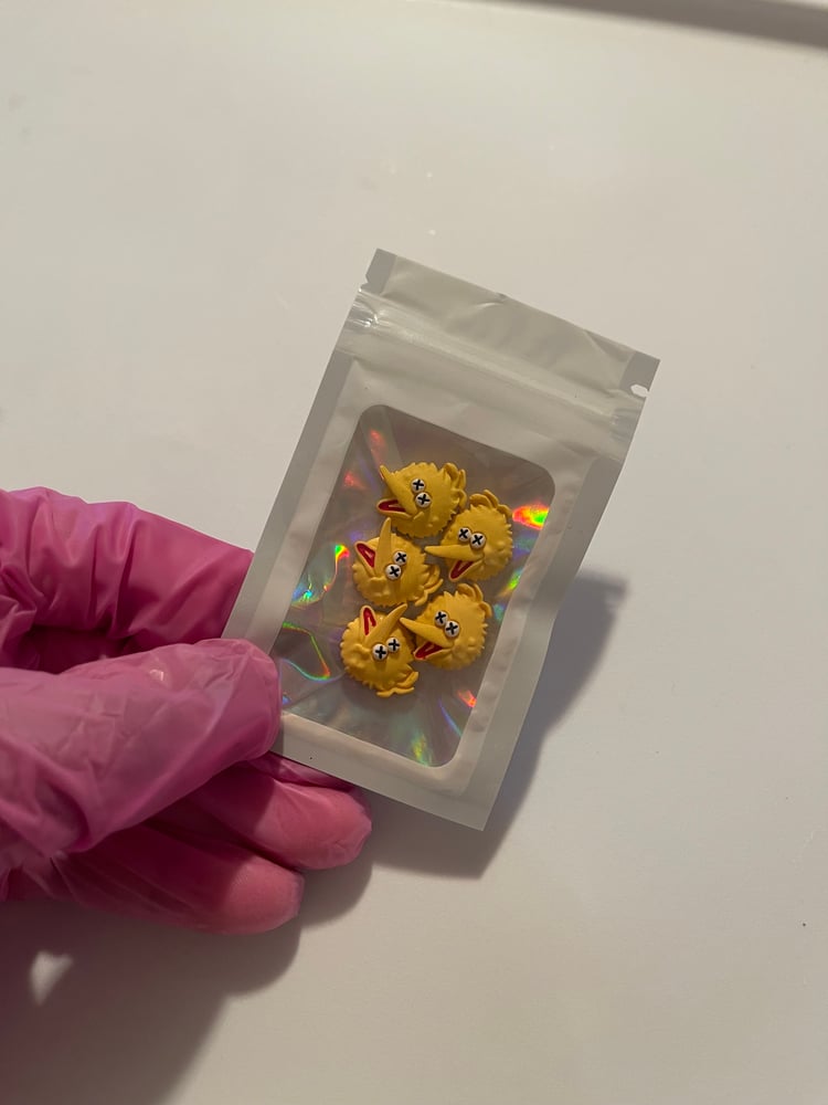 Image of BIG BIRD CHARMS