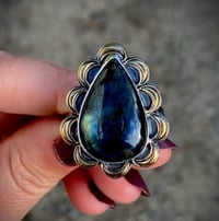 Image 3 of Labracadabra Ring- Fina Moon Silver Studio