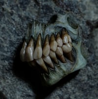 Image 13 of Old Bone Dental Ring Box- ring storage stash box handmade, one off