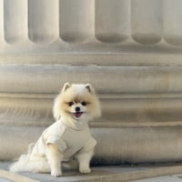 Image 1 of KNIT TEE - ECRU