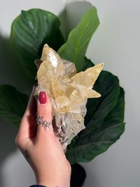 Image 5 of XXL SWEETWATER CALCITE WITH PYRITE -MISSOURI- PORCUPINE POCKET 2025 C