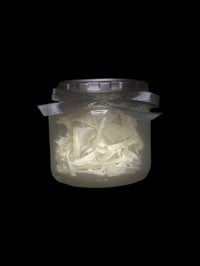 tilapia partial skull & bones jar