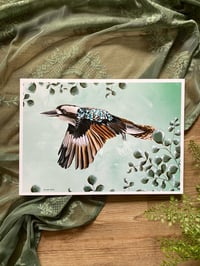 Image 3 of Kookaburra Prints