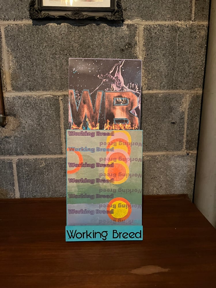 Image of Custom vinyl display stand