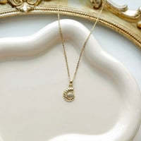 Image 1 of GOLD SHELL
