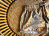 Women’s Dolphin Shorts