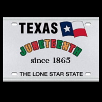 Image 4 of Texas License Plates 