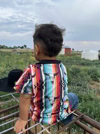 Image 3 of Striped Cowboy