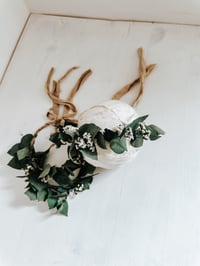 Image 4 of eucalyptus halo