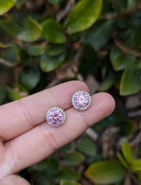 Image 1 of Rose Studs DEAL OF THE WEEK