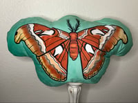Image 2 of Atlas Moth Plushie