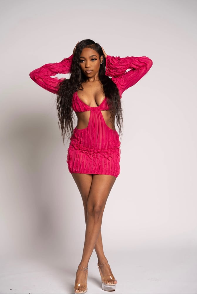 Image of Paradise Dress Magenta