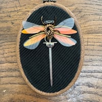 Image 4 of Sword dragonfly (c, 4x5 inches)