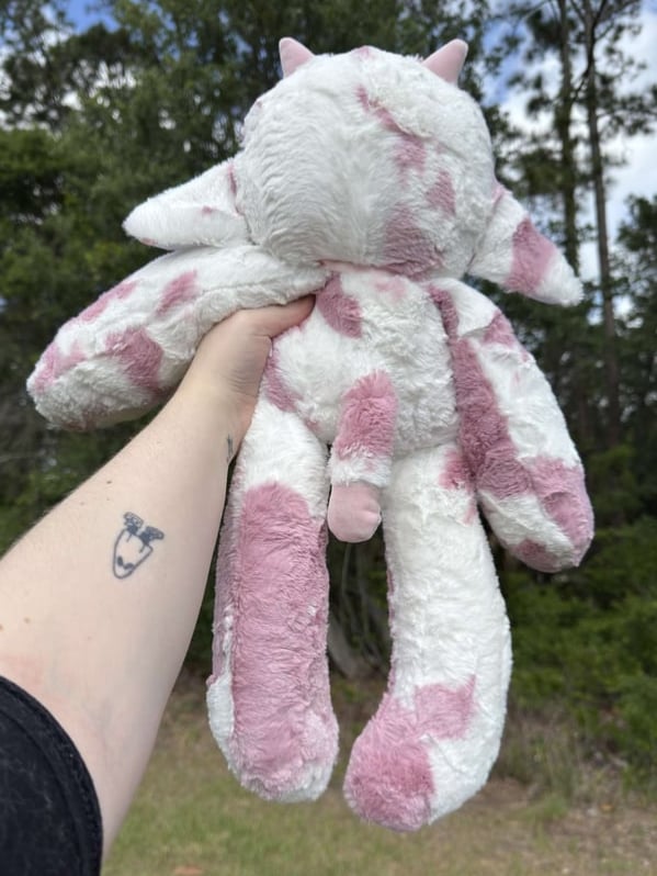 Image of Mirabel Sakura Moo Noodle
