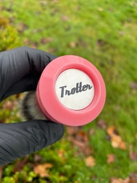 Image 5 of Elvis Rose