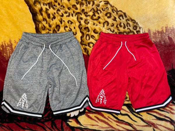 Image of Forecass Summer Shorts