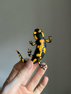 Fire Salamander Painted Model